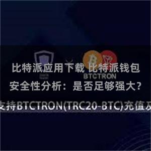 比特派应用下载 比特派钱包安全性分析：是否足够强大？