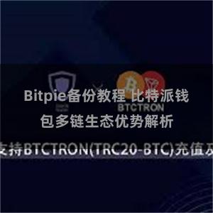 Bitpie备份教程 比特派钱包多链生态优势解析