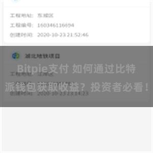 Bitpie支付 如何通过比特派钱包获取收益？投资者必看！