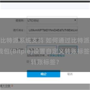 比特派系统支持 如何通过比特派钱包(Bitpie)设置自定义转账标签？