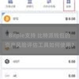 Bitpie支持 比特派钱包的资产风险评估工具如何使用？