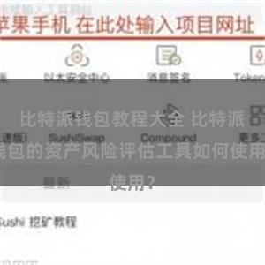 比特派钱包教程大全 比特派钱包的资产风险评估工具如何使用？