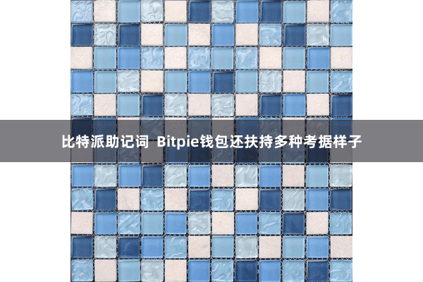 比特派助记词  Bitpie钱包还扶持多种考据样子